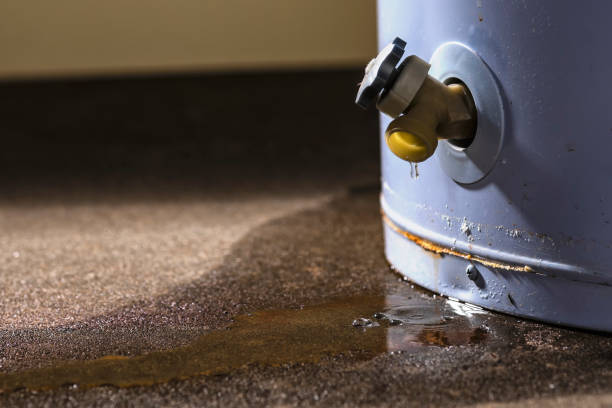 Best Water damage contractors near me  in West Glens Falls, NY