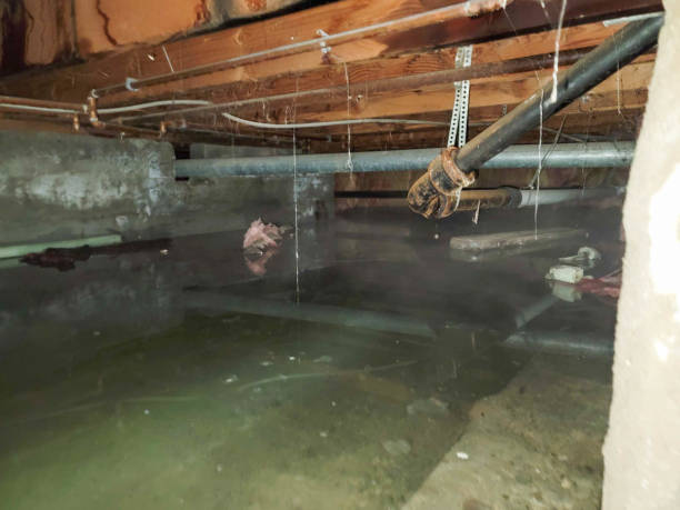 Best Water damage restoration specialists  in West Glens Falls, NY