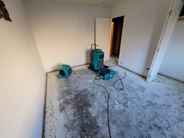 Best Mold removal after water damage  in West Glens Falls, NY