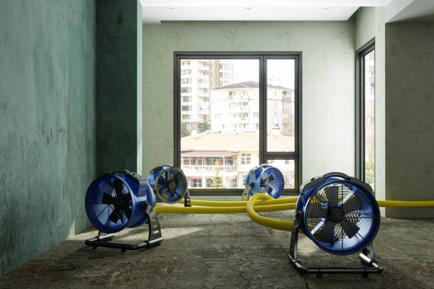 Best Water damage restoration near me  in West Glens Falls, NY